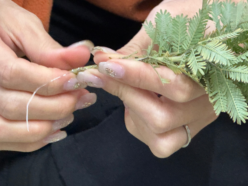 ミモザの枝をワイヤーでくくっている