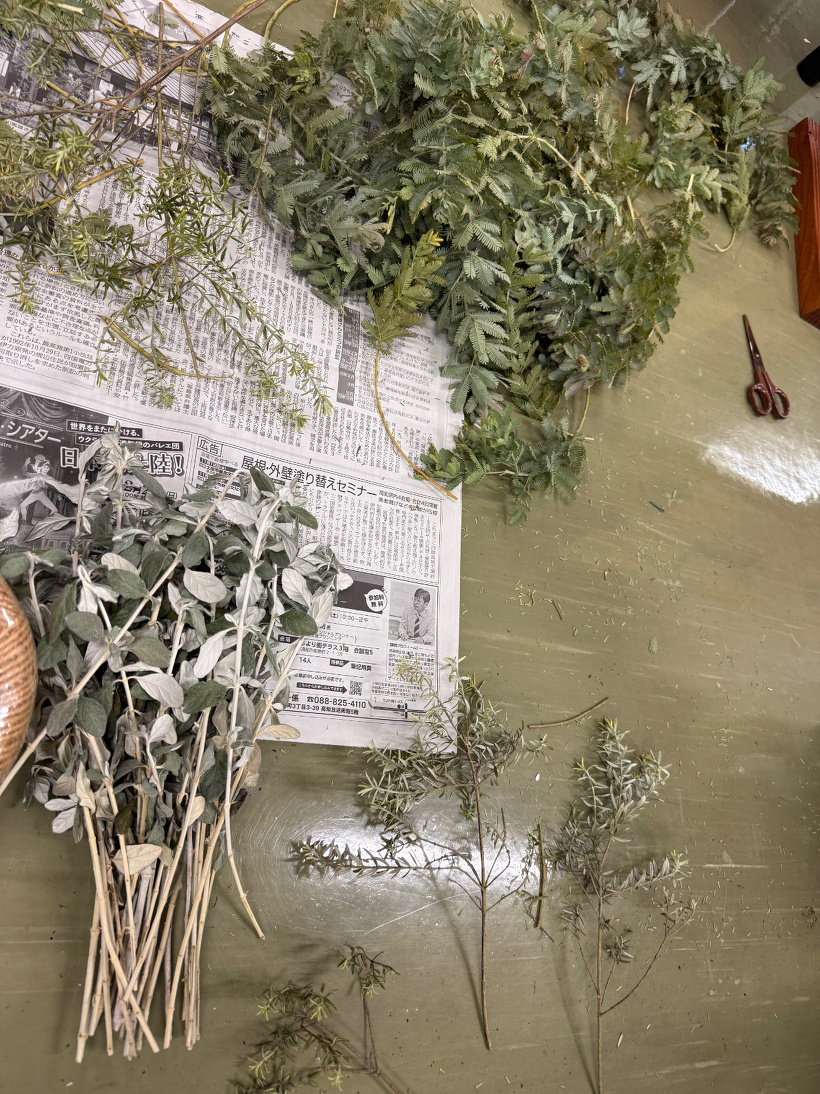 3つのハーブが新聞の上に乗っている