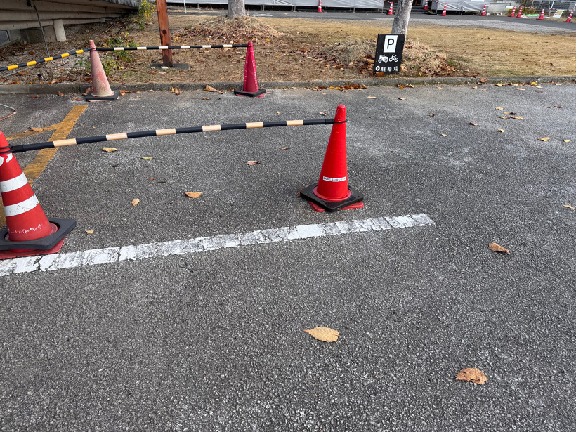 枯葉が散っている