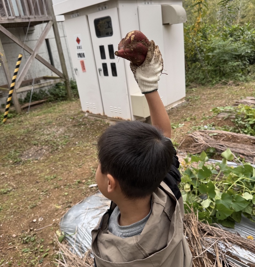 大きなお芋を掲げている