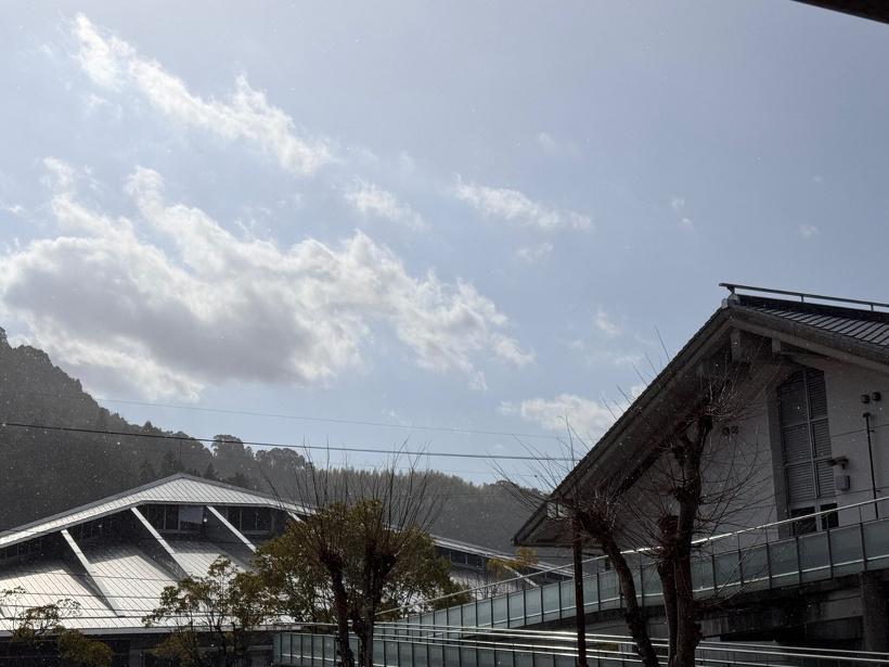雨が降っている