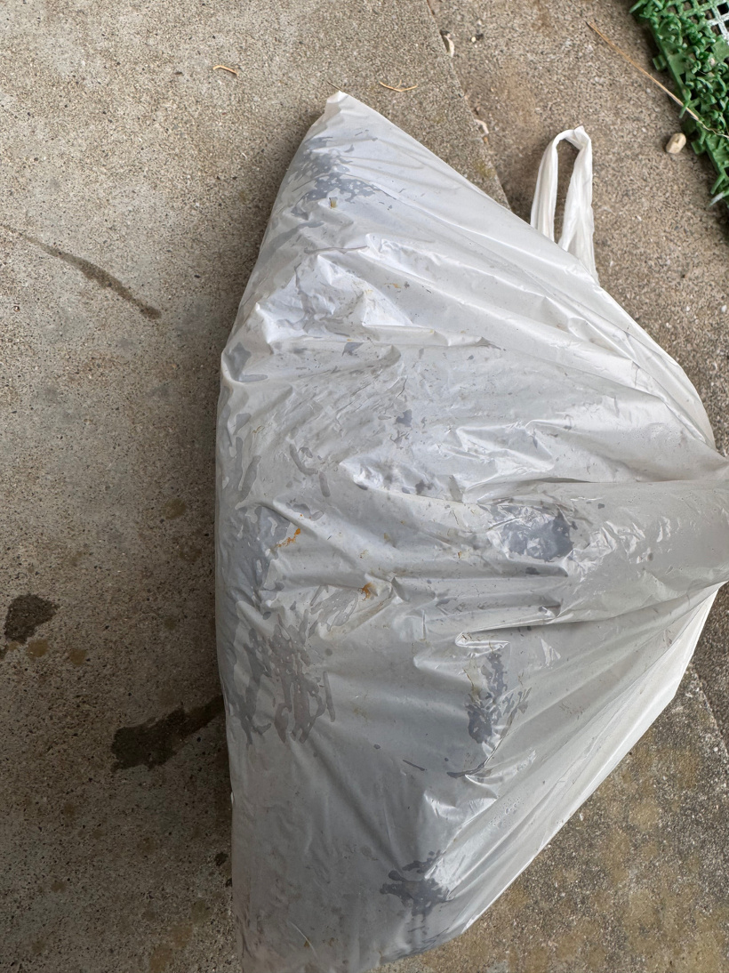 木の根っこがビニールに入っている！