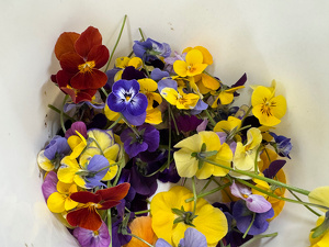 バケツに入った花