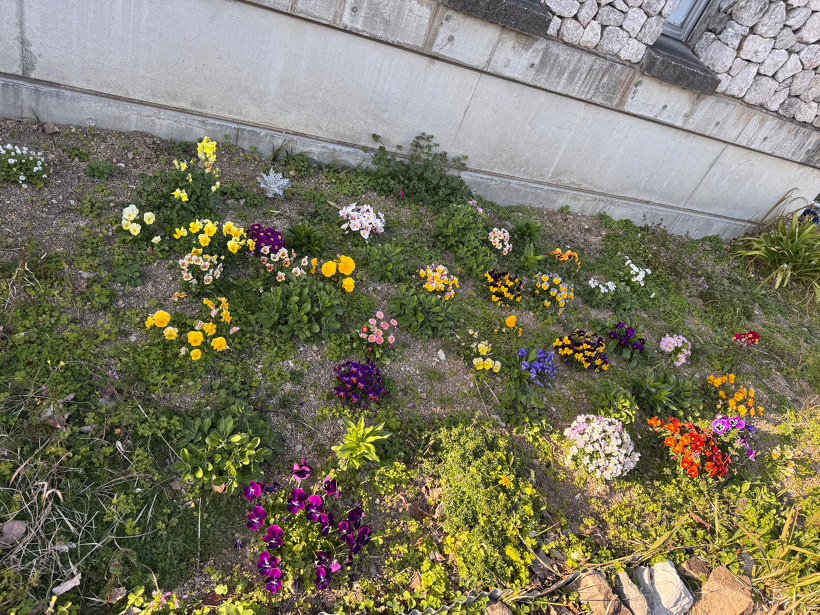 花が沢山咲いた花壇