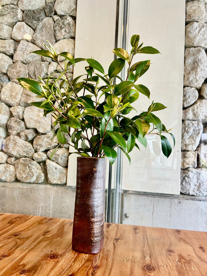 花瓶に椿がいけられています