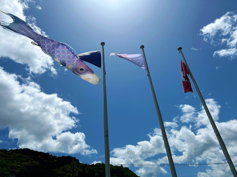 晴れた空と鯉のぼり