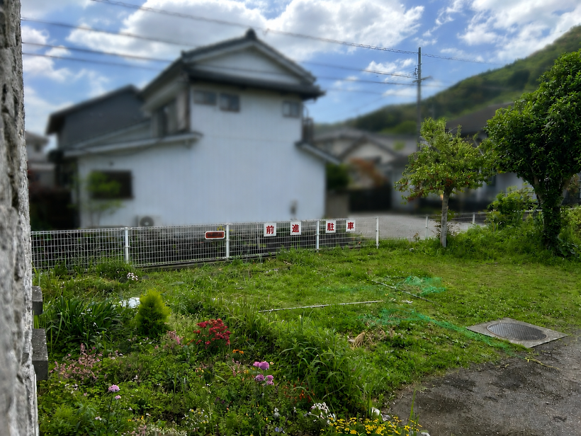 雑草が伸びている花壇と畑