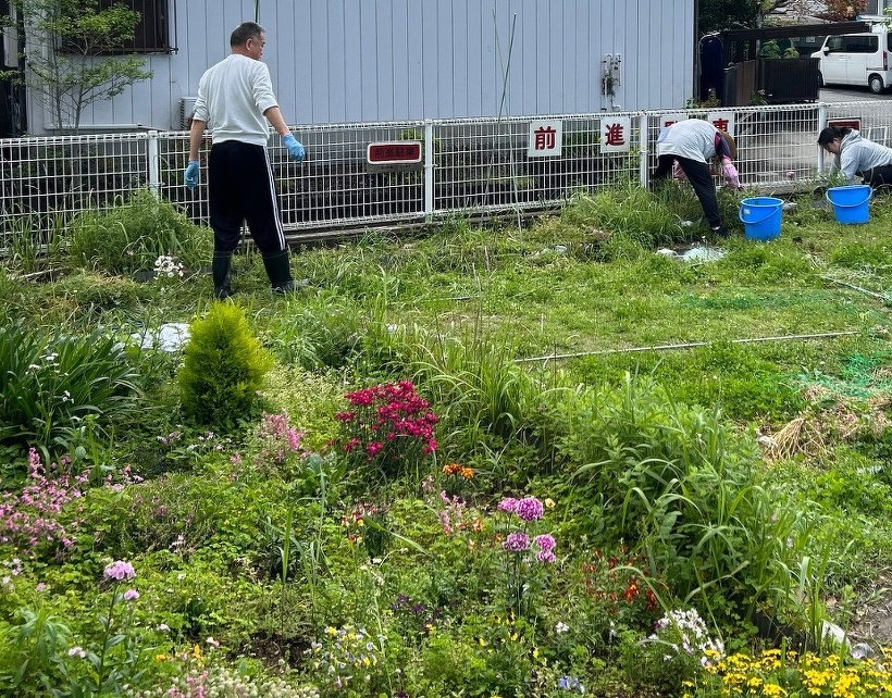 職員が植物の手入れをしています