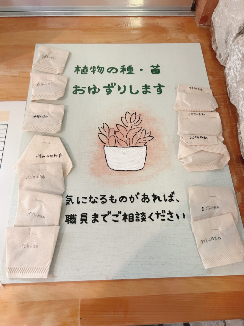春菊、バジル、コキア、なでしこの種