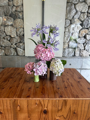 玄関横のスペースに飾っているアジサイの花