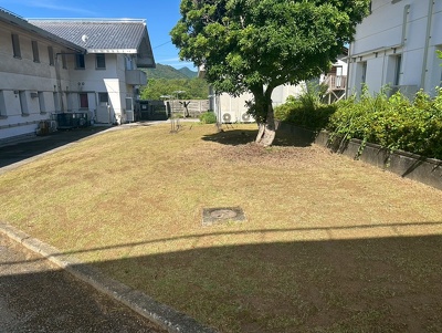 会議室・研修室1の窓から見える、刈った後の芝生