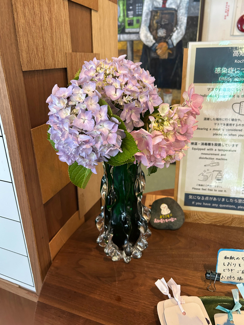 花瓶に生けたアジサイの花