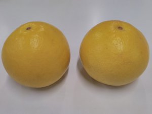 ２つの文旦