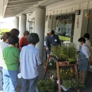 ハーブの苗を囲んで説明中
