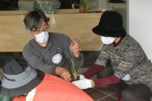2人でハーブを見ている